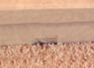 Granite and Marble Repairs